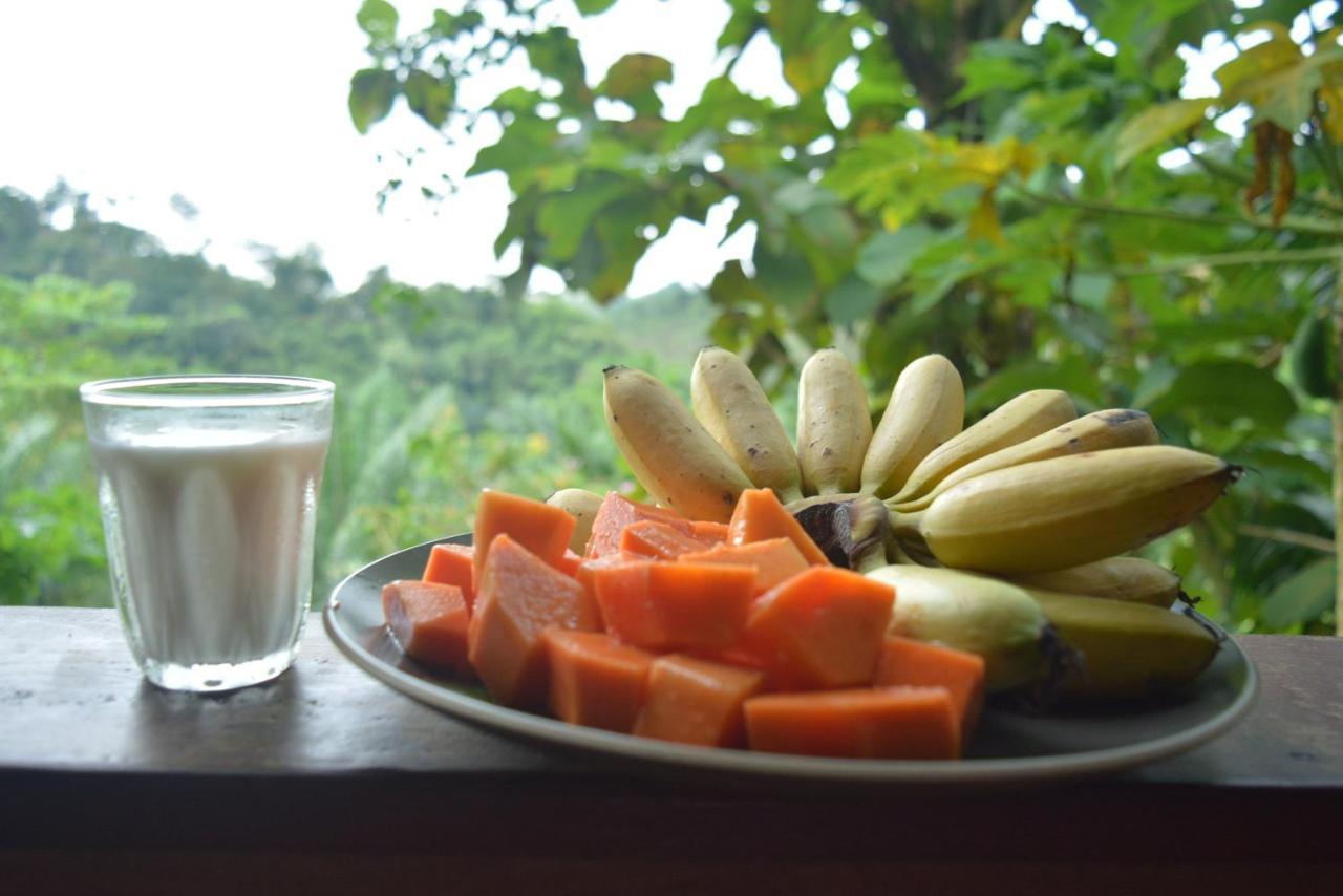 Eco-Logic, Resort For Charity Phato Ngoại thất bức ảnh