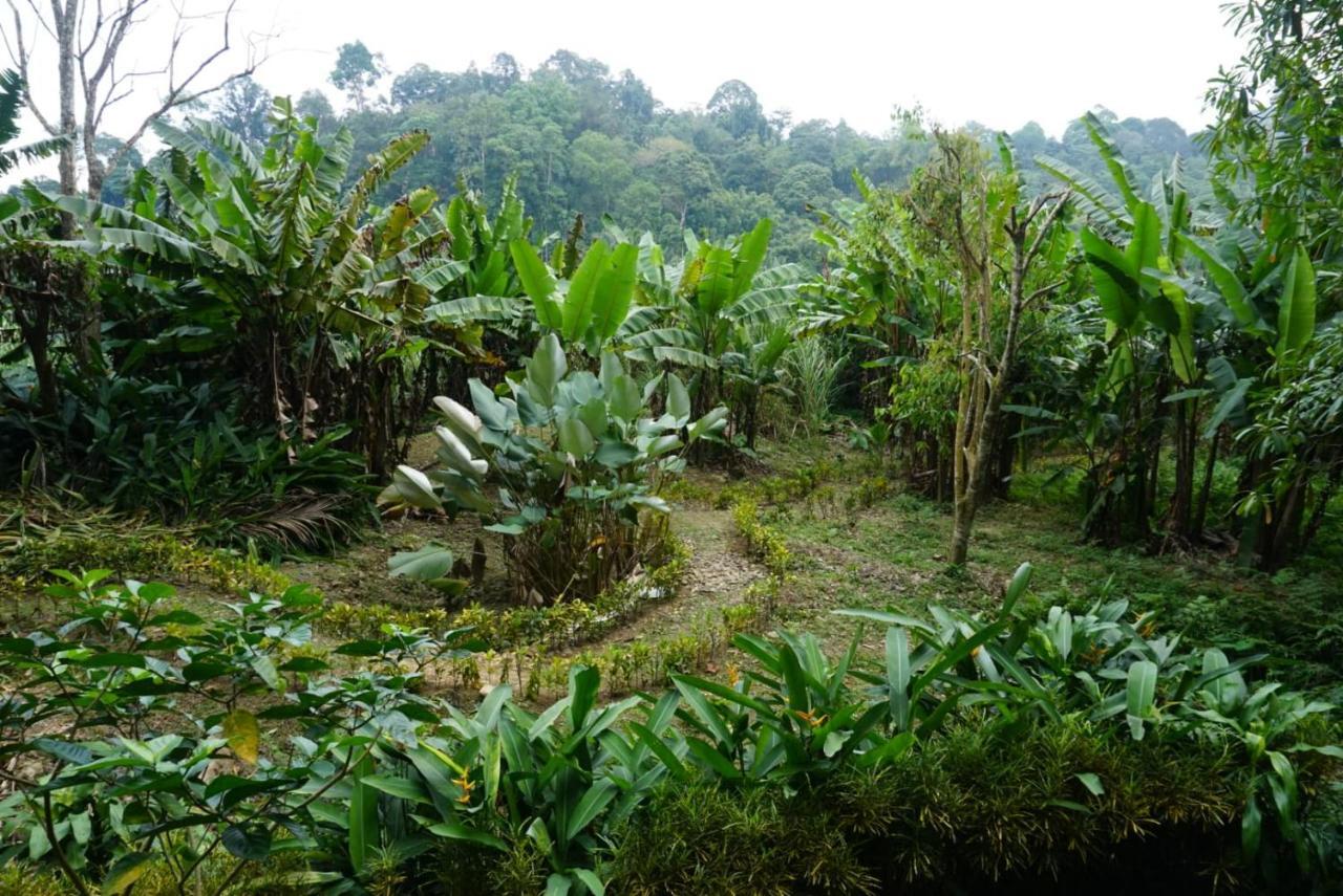 Eco-Logic, Resort For Charity Phato Ngoại thất bức ảnh